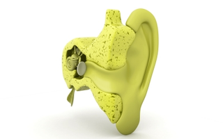 Illustration for article titled Learn Just How You Are Able To Start To Hear Significantly Better Once More Swiftly